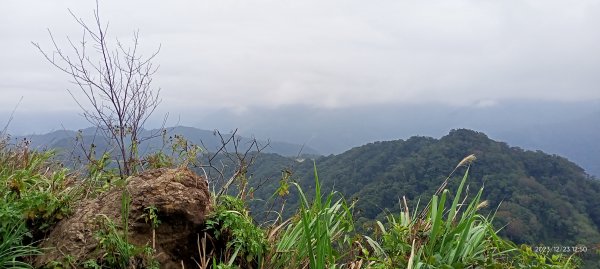 四訪苗栗的花果山-小百岳#037馬那邦山、雪霸國家公園管理處【小百岳集起來、苗栗-臺灣百大必訪步道】2394353