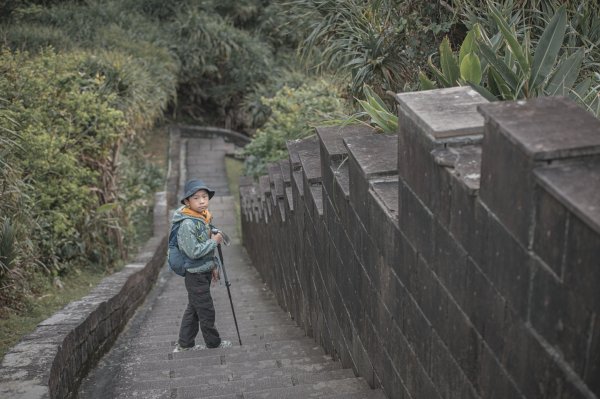 絕美的海岸地質教室｜鼻頭角步道3020683