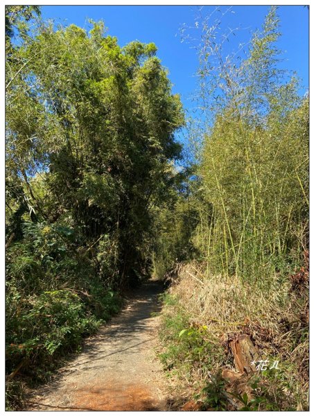 石圍牆山、北峰展望(台中、東勢)2669973