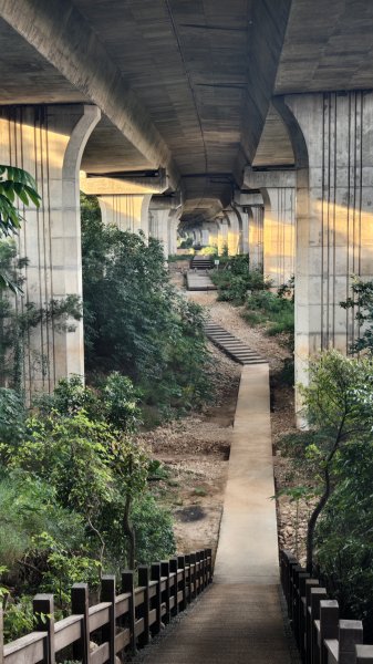 【台灣健行】台中沙鹿地下城2874464