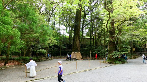 伊勢神宮,鬼之城,速玉神社2807149