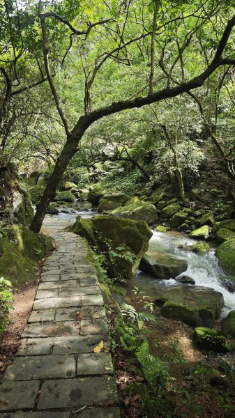 2025-0512內湖到中社2784816