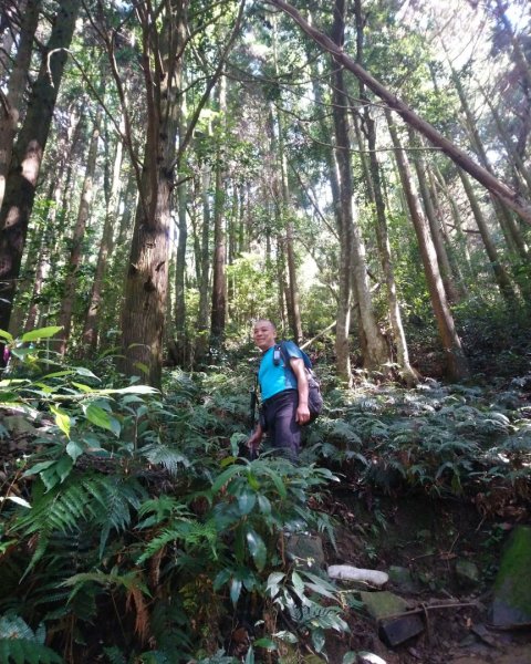 鳶嘴西稜O走（大崠山、長壽山、鳶嘴山）1073389