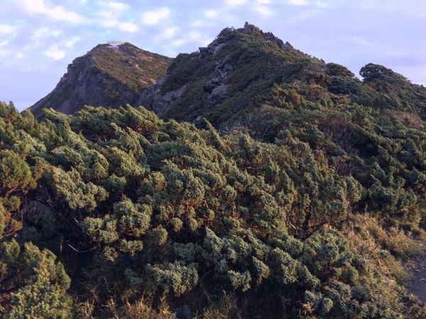 玉山北峰~站上台灣之巔 迎日出167264