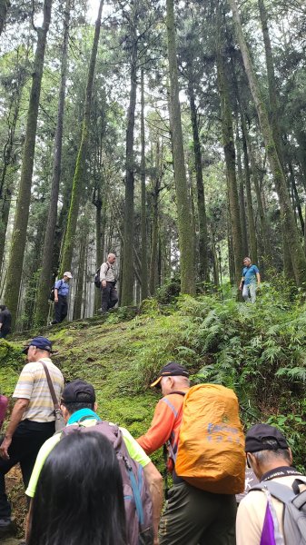 2023-0910 阿里山塔山步道2284439