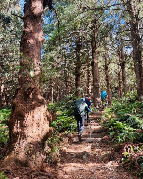 鳶嘴西稜上鳶嘴山-三崠山連走2652143