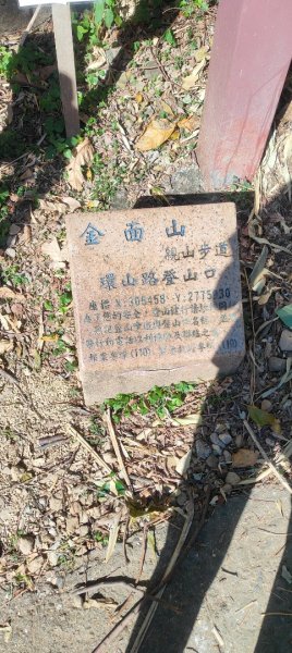 內湖金面山22690003