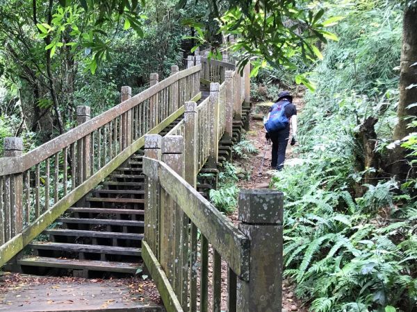 飛鳳山觀日坪連走中坑山388277