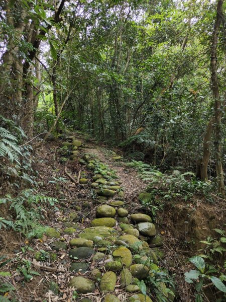 2024.03.24 飛鳳古道2908478