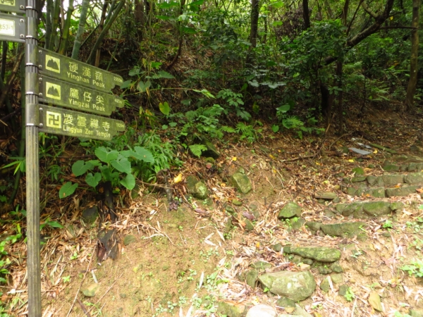 觀音山連峰暨硬漢嶺相關景觀65354