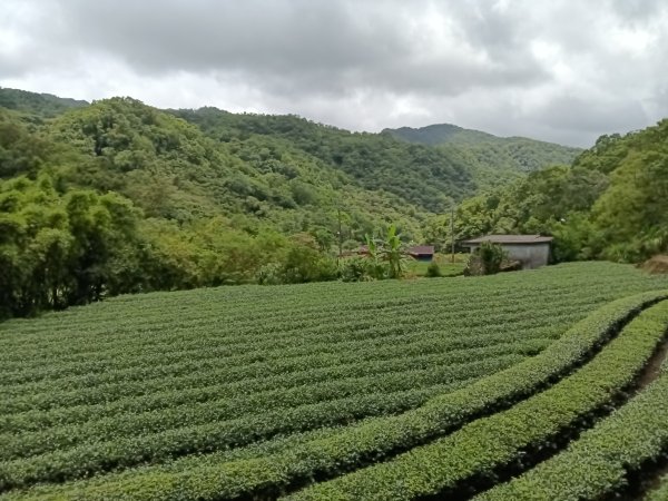 坪林區大舌湖漁光國小通學古道(保甲路古道)去回+大舌湖2844927