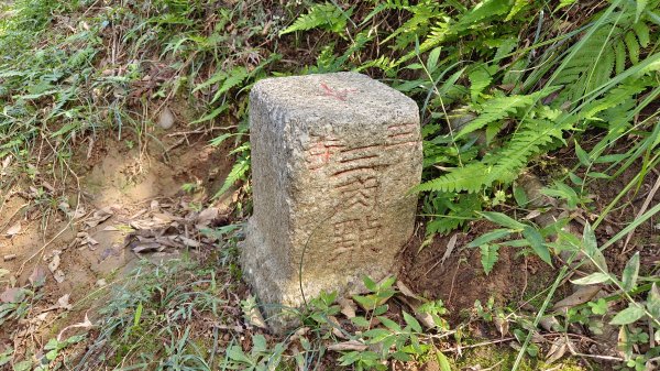 (姨婆趴趴走)第三十一集:新北金山獅頭山公園、神秘海岸、老街縱走2340228