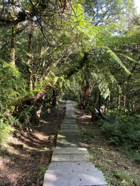 2023/12/14 碇內尖山 龍門山 五分山 淡蘭古道中路2399827