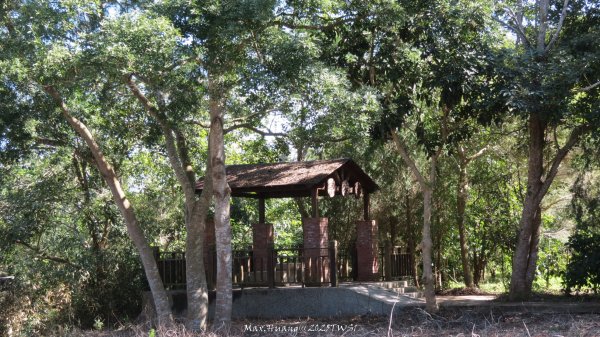 《台中》落雨松季｜石岡挑物古道O繞下情人木橋202501122687630