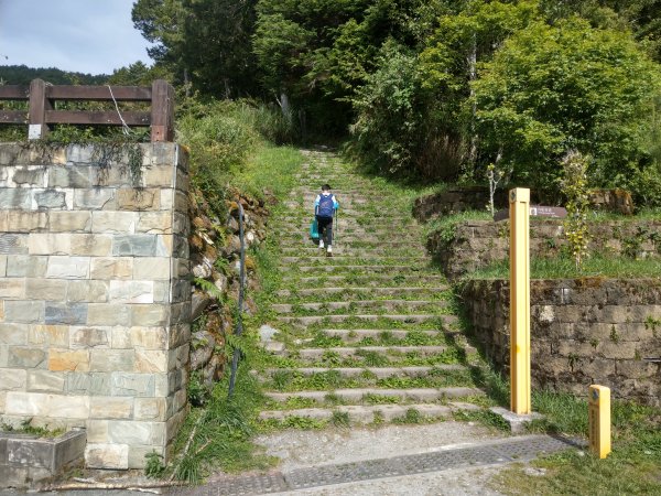 高雄/花蓮/台東-嘉明湖-向陽山-三叉山