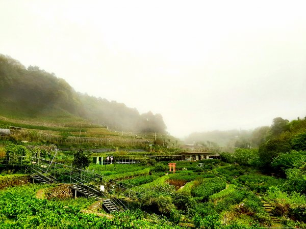 走遍陽明山：大屯山系｜青楓、中正山步道2085912