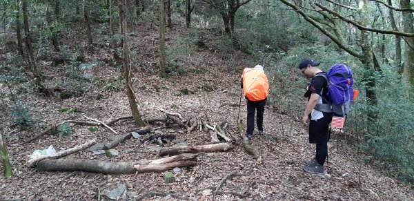 白姑大山之旅743408