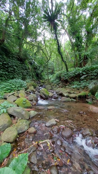 111/07/02陽明山鹿角坑步道、楓林瀑布1754003