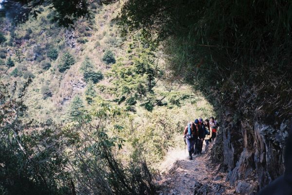 玉山西峰/玉山主峰169966