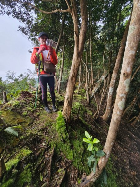 【苗栗郊山聖稜線】仙神象18連峰大縱走2675984
