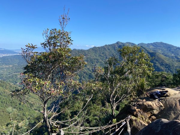 新北：五寮尖登山步道2441830