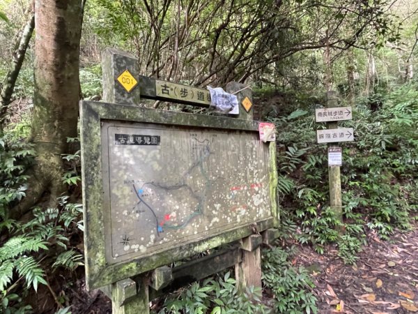 1140618鳴鳳古道｜錫隘-雲洞宮2815355