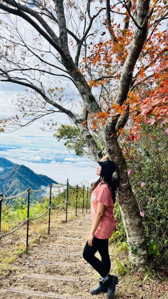 〽️12/25（三）聖誕節~楓紅了🍁~馬拉邦(小百岳)賞楓眺望聖稜線2676387