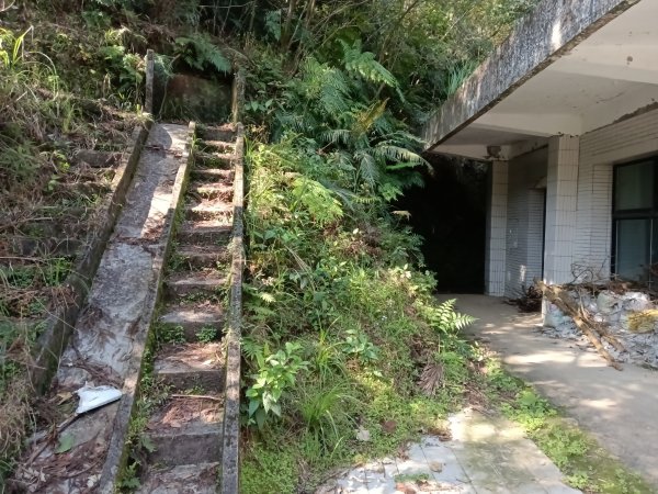 崩山坑古道+東柑腳山+後寮仔嶺+後寮子古道+後寮仔保甲路O型2750932