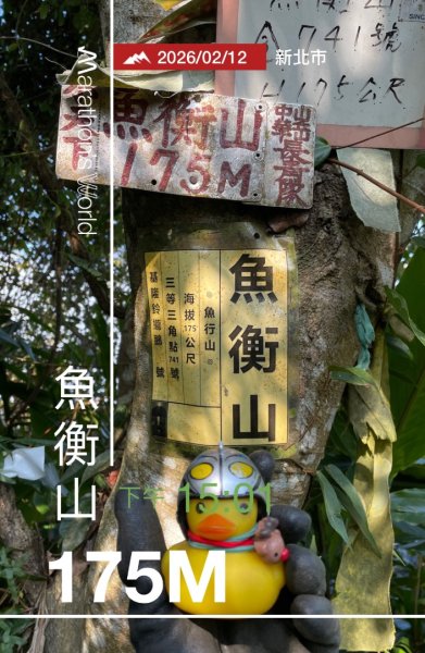 銀河洞越嶺貓空-新高麗坑山-銀獅縱走-猴山岳群峰+三條魚縱走2998296