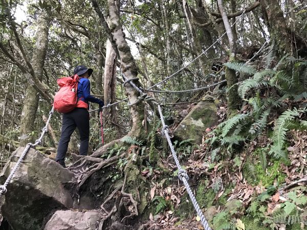 登橫嶺山環走自然步道118226