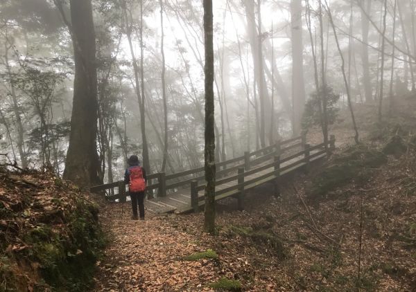 船形鞍馬 小雪山國家步道297826