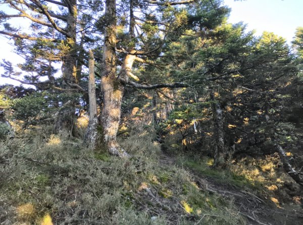 北一段(08/14)陶塞峰 2025_0906~132886926