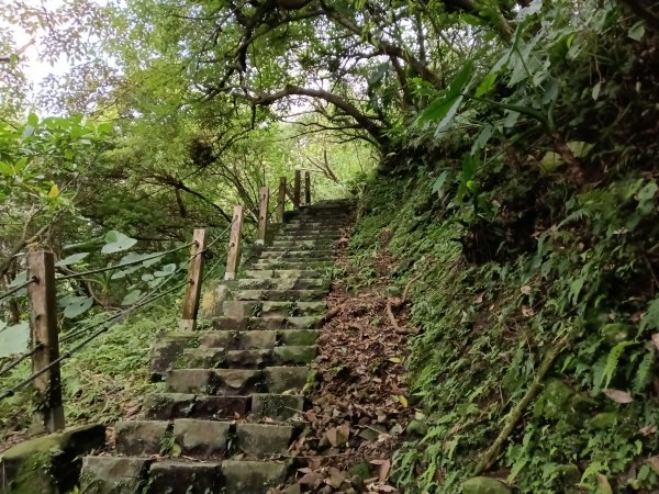 瑞芳區基隆山步道O型3010157