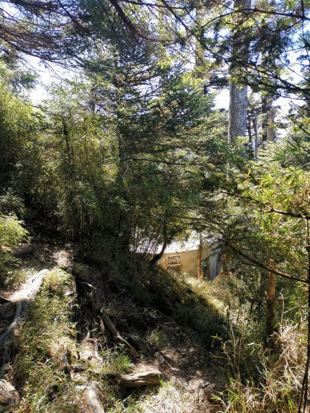 2019-12-09_奇萊主峰2日868690