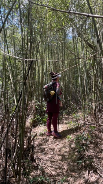 新店塗潭山.灣潭山.和美山南勢角山走走2588627