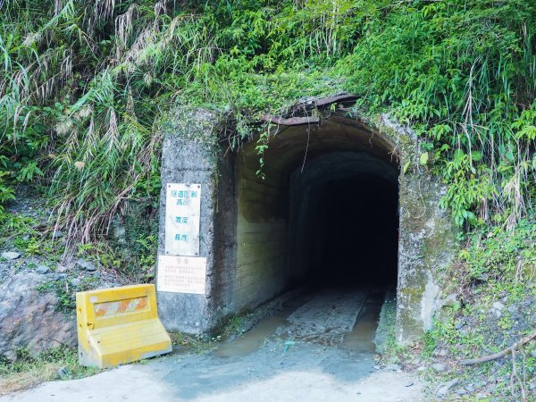 [百岳]能高越嶺逆走與奇萊南峰1042661