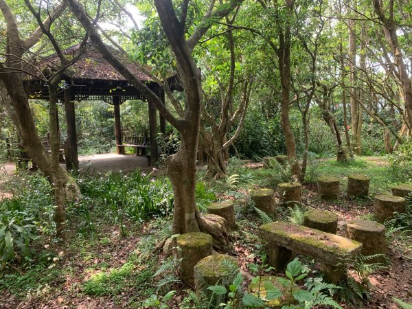 大崙頭尾山親山步道2767183