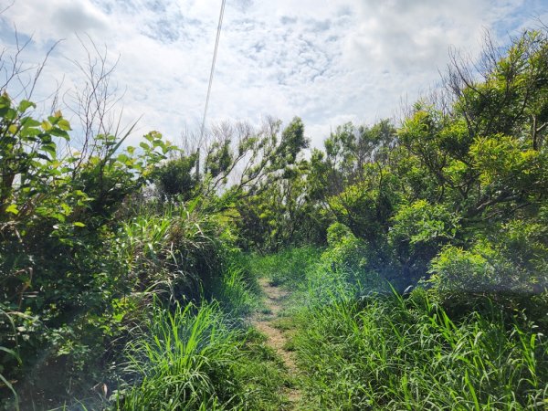 1140419龍港連走白沙屯(含好望角,牧羊古道,舊鐵道,海角樂園,山邊媽,白沙屯)2767291