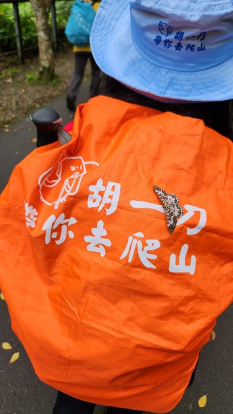 解鎖山頂鳥百山百鳥滿月園任務，滿月圓森林遊樂區是台北近郊瀑布最多的森林遊樂區，夏季首選，涼爽舒服2866664