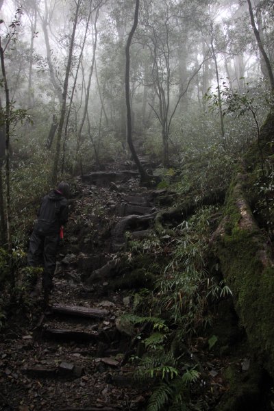 【谷關七雄】馬崙新山步道598030