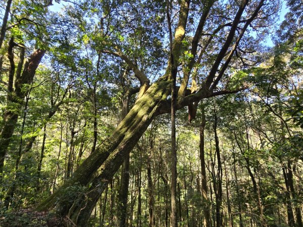 哈堪尼山2761948