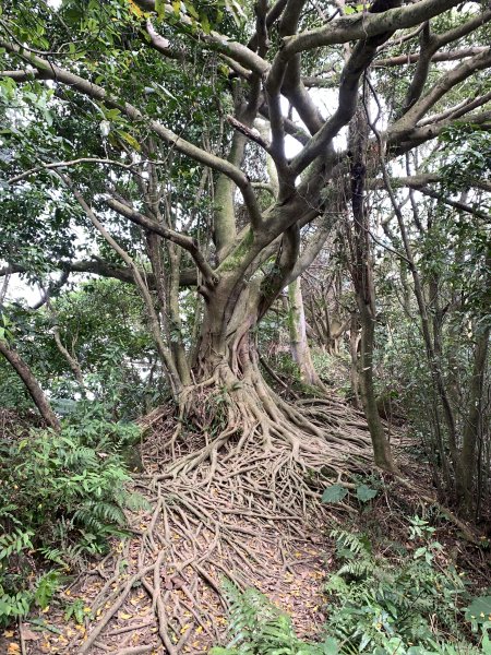 天上山到三清宮2419226