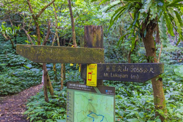 [新北]白雞山與裕峰煤礦遺址2891865