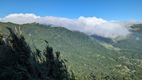 112.09.30大屯山賞秋芒雲海2301857