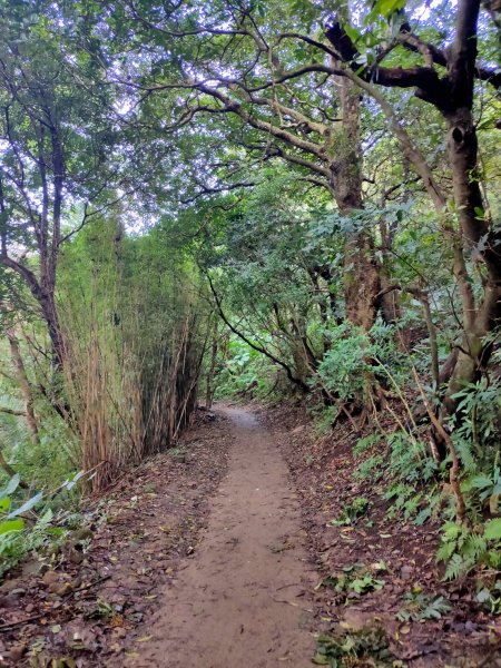 橫嶺古道 湖山國小步道1194201