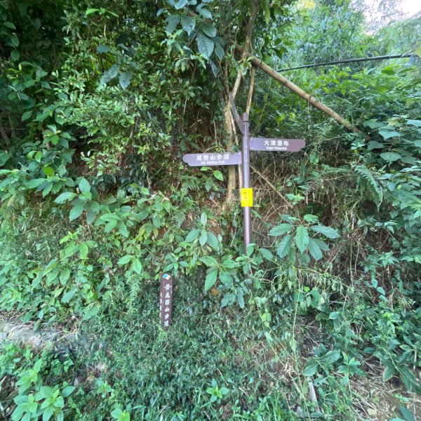 20151117_尾寮山（屏東小百岳）2941600