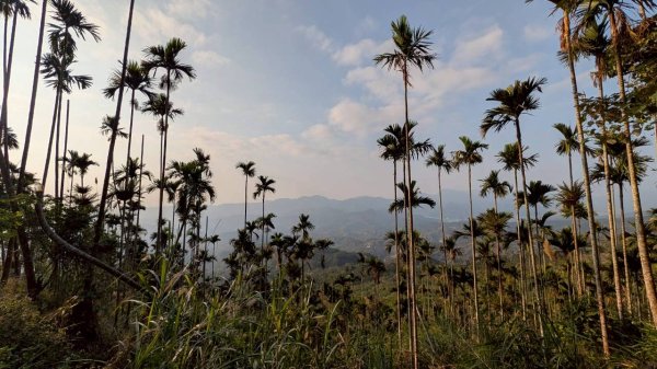 竹仔尖山步道3002507