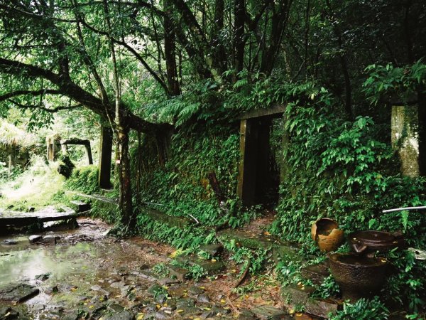 淡蘭古道中路－姑娘採茶去1571639