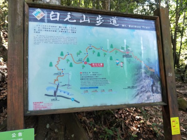 步道巡訪員 l 白毛山步道6月巡訪日誌996269