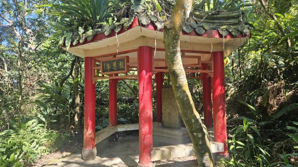 20251003高麗坑山-新高麗坑山-高麗坑山西北峰2903131